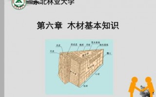  木质基础版「木材基础知识」