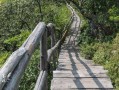 山东木质栈道,山上木栈道 