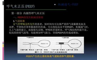 pepetpp区别（peepi和peep）