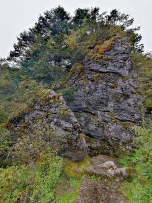 神农架板壁岩景点 神农架林区木塑墙板线条-第2张图片-济宁荣昌木业网